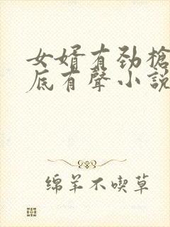 女婿有劲枪枪到底有声小说