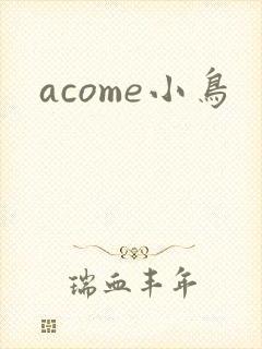 acome小鸟
