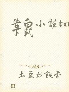 告白小说txt下载