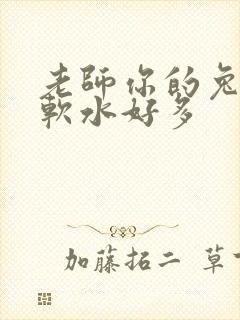 老师你的兔子好软水好多