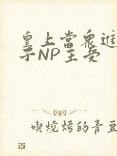 皇上当众进入太子NP主受