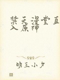 禁天漫堂直接进入原神