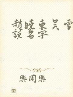 赵晓东吴雪晴小说名字