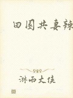 田园共妻辣