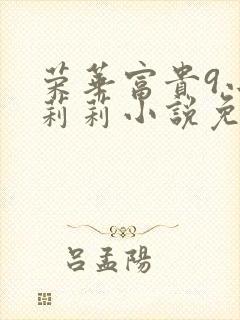 荣华富贵9小王莉莉小说免费阅读