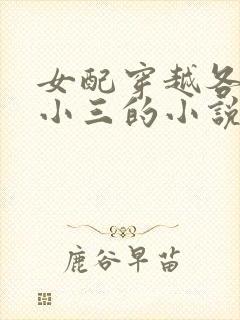 女配穿越各个做小三的小说