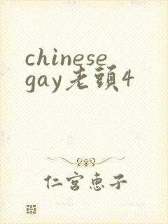 chinesegay老头4