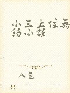 小三上位无三观的小说