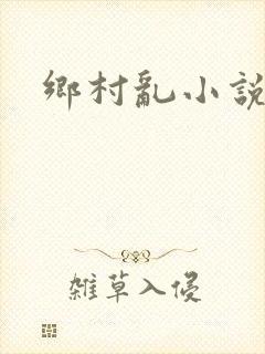 乡村乱小说