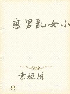 恋男乱女小说