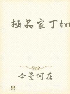 极品家丁txt