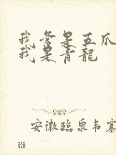 我爹是五爪金龙我是青龙