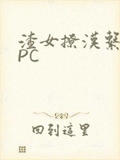 渣女撩汉系统NPC