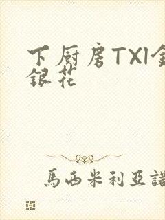 下厨房TXl金银花