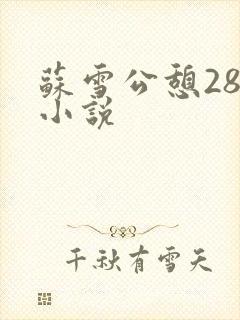 苏雪公憩28篇小说