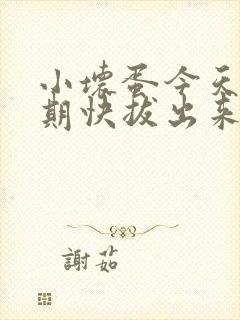 小坏蛋今天危险期快拔出来