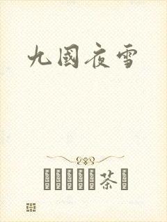 九国夜雪
