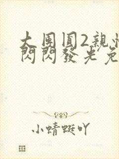 大团圆2亲情会闪闪发光免费