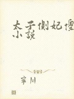 太子侧妃傻乎乎小说