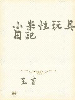 小米性玩具羞辱日记