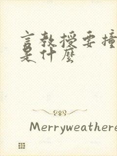 言教授要撞坏了是什么