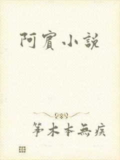 阿宾小说