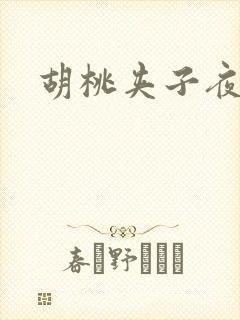 胡桃夹子夜未眠