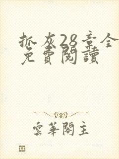 抓灰28章全部免费阅读