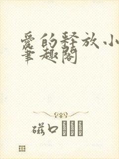 爱的释放小说 笔趣阁