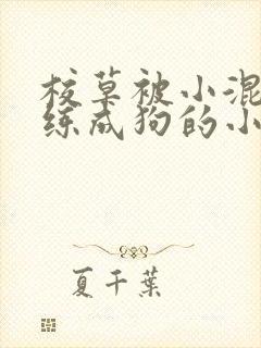 校草被小混混训练成狗的小说