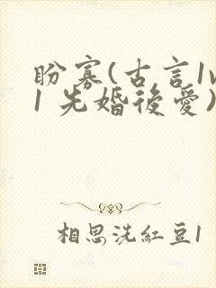 盼寡(古言1v1 先婚后爱)