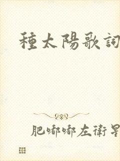 种太阳歌词