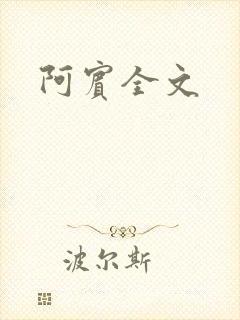 阿宾全文