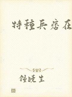 特种兵痞在都市