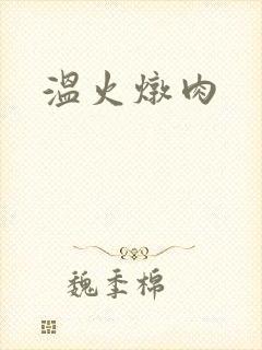 温火炖肉