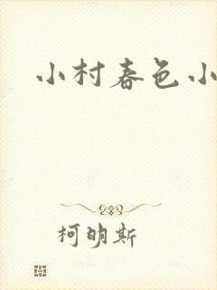 小村春色小说