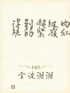 得到超级肉禽系统的紫岭红山