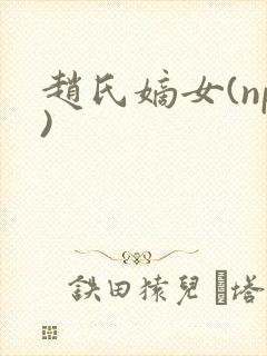 赵氏嫡女(np)