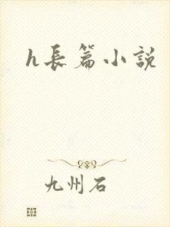 h长篇小说