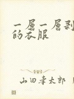 一层一层剥掉你的衣服