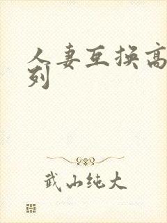 人妻互换高h系列