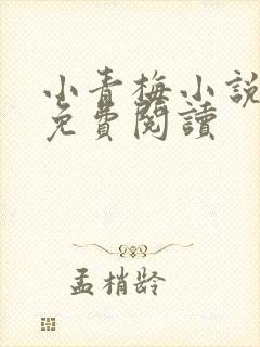 小青梅小说全文免费阅读