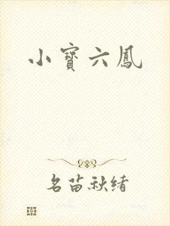 小宝六凤