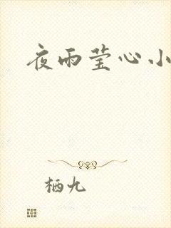 夜雨莹心小说