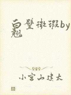 白璧微瑕by连翘