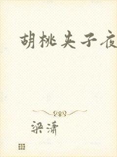 胡桃夹子夜未眠