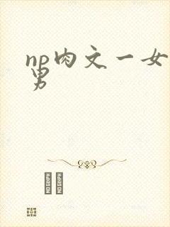 np肉文一女多男