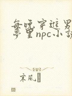 每晚穿进男神的梦里npc小说