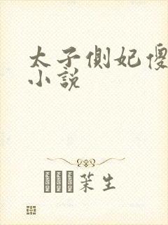 太子侧妃傻乎乎小说