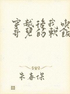 穿越后我吃到了哥儿的软饭炉山灰